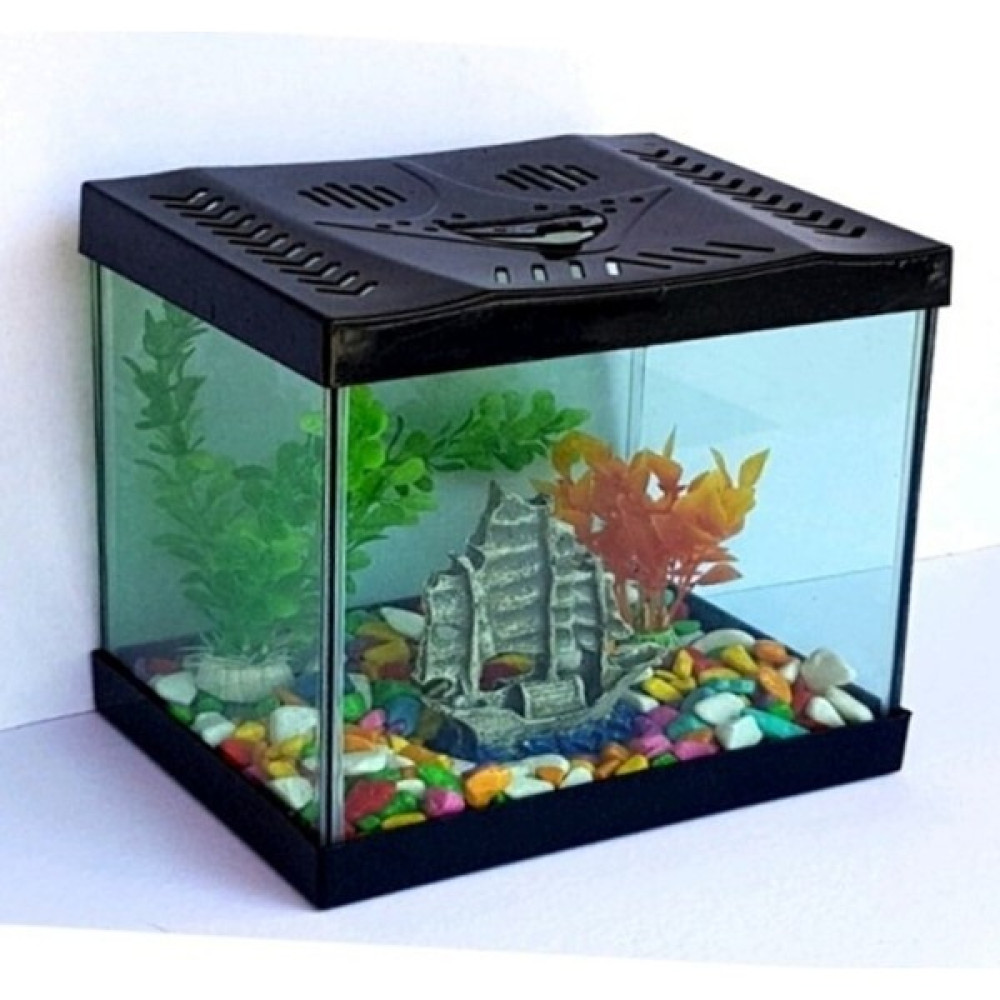 Gym Kapaklı Mini Cam Akvaryum 20 cm × 20 cm (Herşey Dahil 8 Parça) Evcil Hayvan Ürünleri Fiyatı