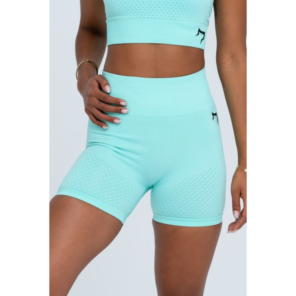 Gymwolves Kadın Spor Şort | Su Yeşili | Dikişsiz Spor Şort | Şort & Kapri (Outdoor) Fiyatı