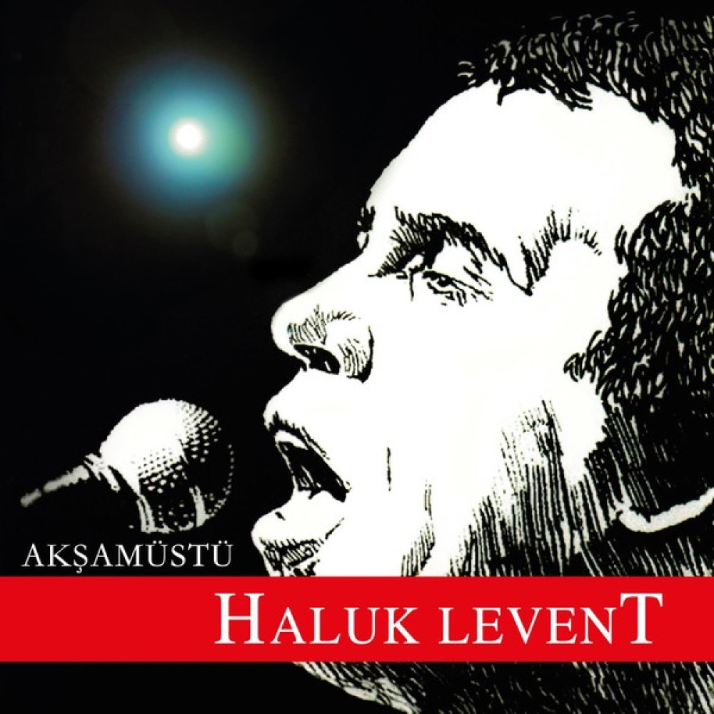 Haluk Levent - Akşamüstü (Plak) Pikap & Aksesuarları Fiyatı