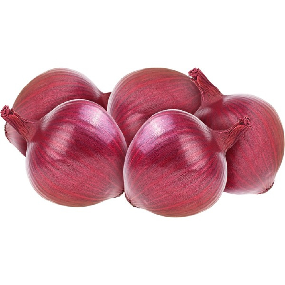 Hamile Marketim Mor Soğan 1 kg Oto Boyaları Fiyatı