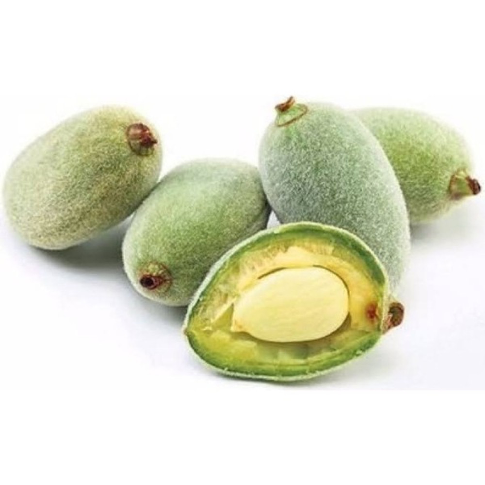 Hamile Marketim Taze Çağla (100 gr ) - 100 gr Oto Boyaları Fiyatı