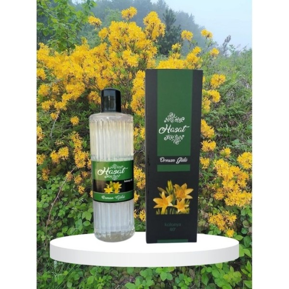 Hasat 400 ml Orman Gülü Kolonyası Oto Boyaları Fiyatı