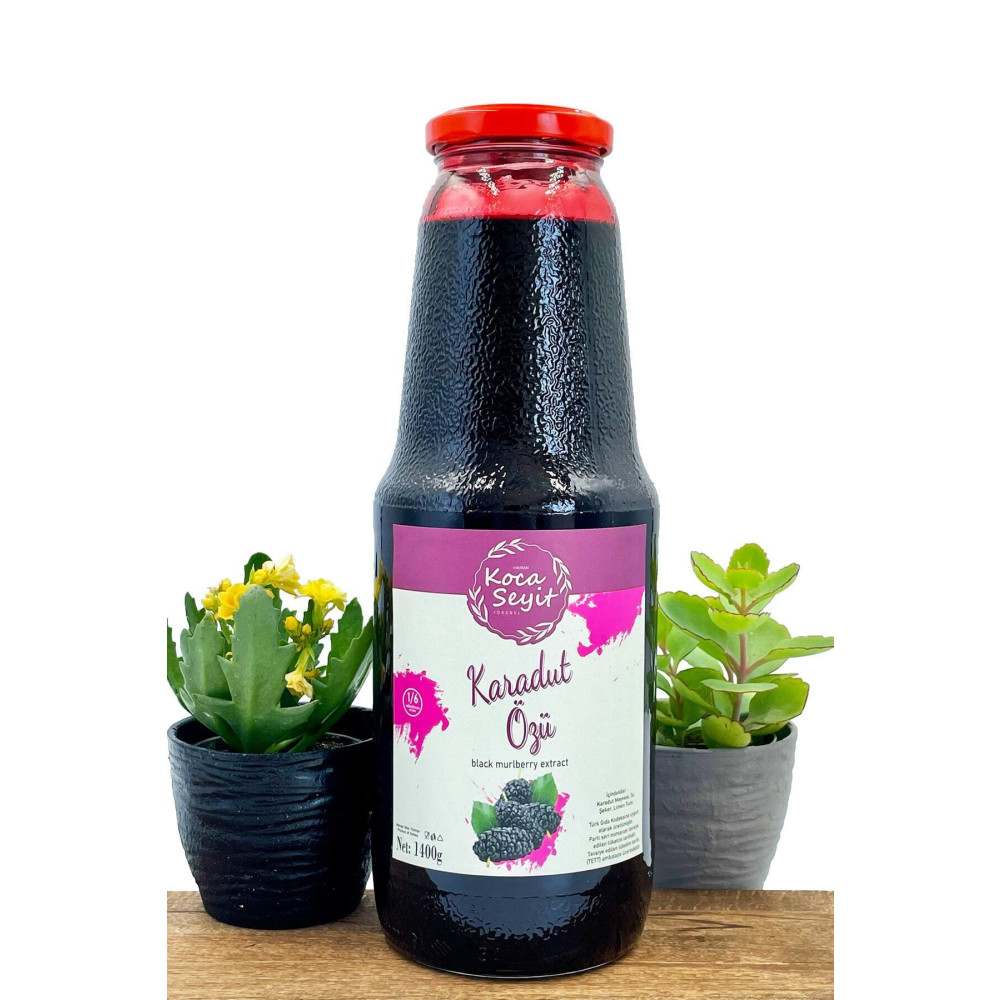 HAVRAN KOCASEYİT Karadut Özü 1400 gr Organik Ürünler Fiyatı