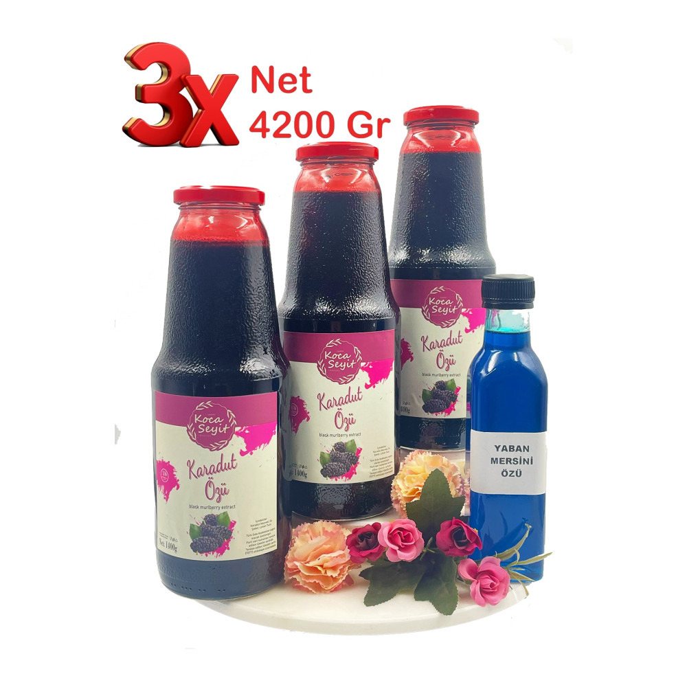 HAVRAN KOCASEYİT Karadut Özü 3x1400 Gr. Yaban Mersini Özü 350 Gr. Hediyeli Organik Ürünler Fiyatı