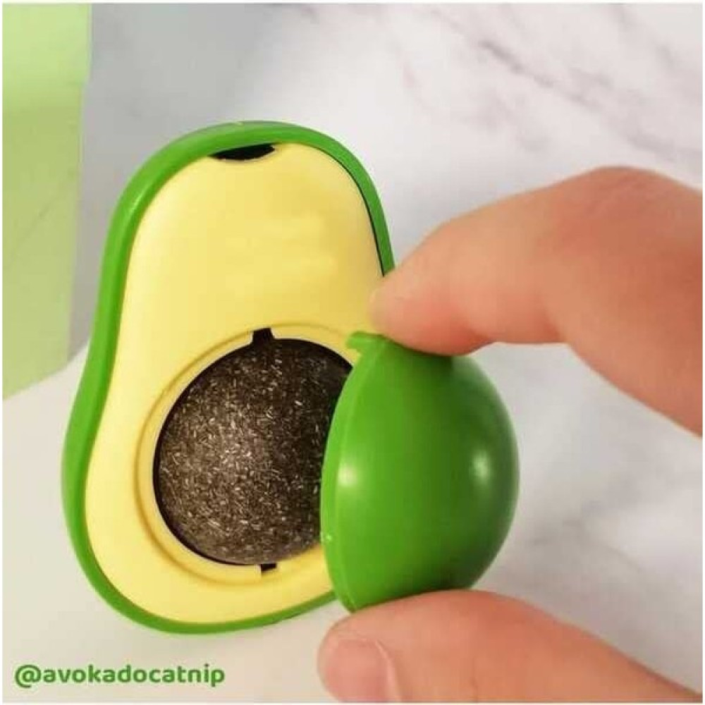Hay-Hall01 Avokado Catnip Avokado Kedi Çimi Topu Avokado Kedi Nanesi Oyuncağı Arkası Yapışkanlı Catnip - 5 Adet Catnip - Yeşil Evcil Hayvan Ürünleri Fiyatı