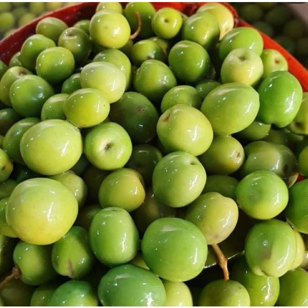Hazek Kadın Kooperatifi Hazek Halhalı Zeytin 3 kg Yeşil Zeytin Organik Ambalajda Taze ve Lezzetli Salon Halısı Fiyatı