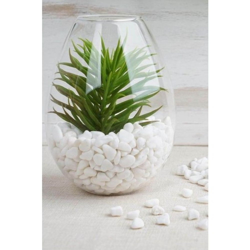 Hb Botanic 1-2 cm Beyaz Dolomit Akvaryum Taşı, Dekoratif Teraryum Taşı, %100 Doğal - 2 Kg Evcil Hayvan Ürünleri Fiyatı