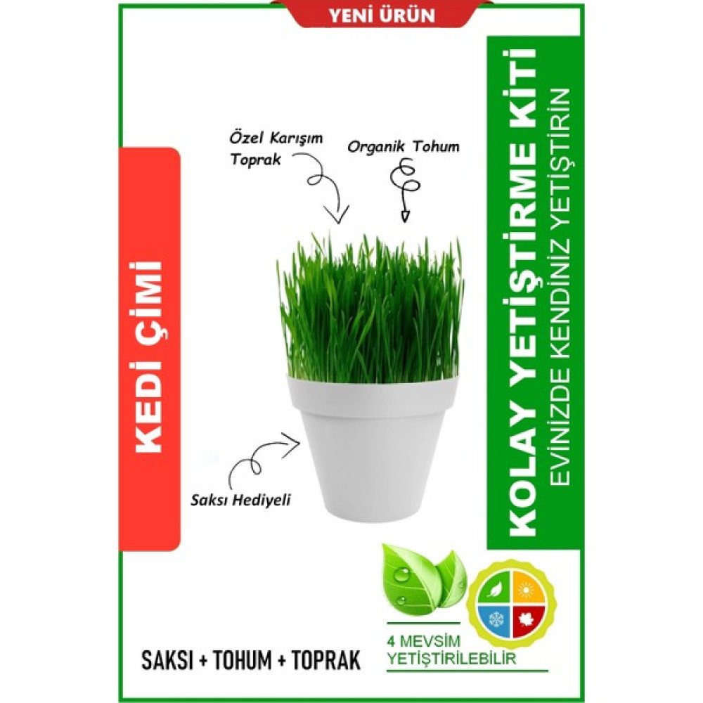 Hb Botanic %100 Doğal Kedi Çimi Seti (Tohum+Saksı+Toprak) - 1 Adet Tohum Fiyatı