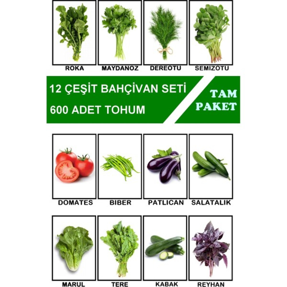 Hb Botanic Domates Biber Patlıcan Salatalık Roka Marul ve Fazlası 12 Çeşit Tam 600 Adet Tohum - 1 Adet Tohum Fiyatı