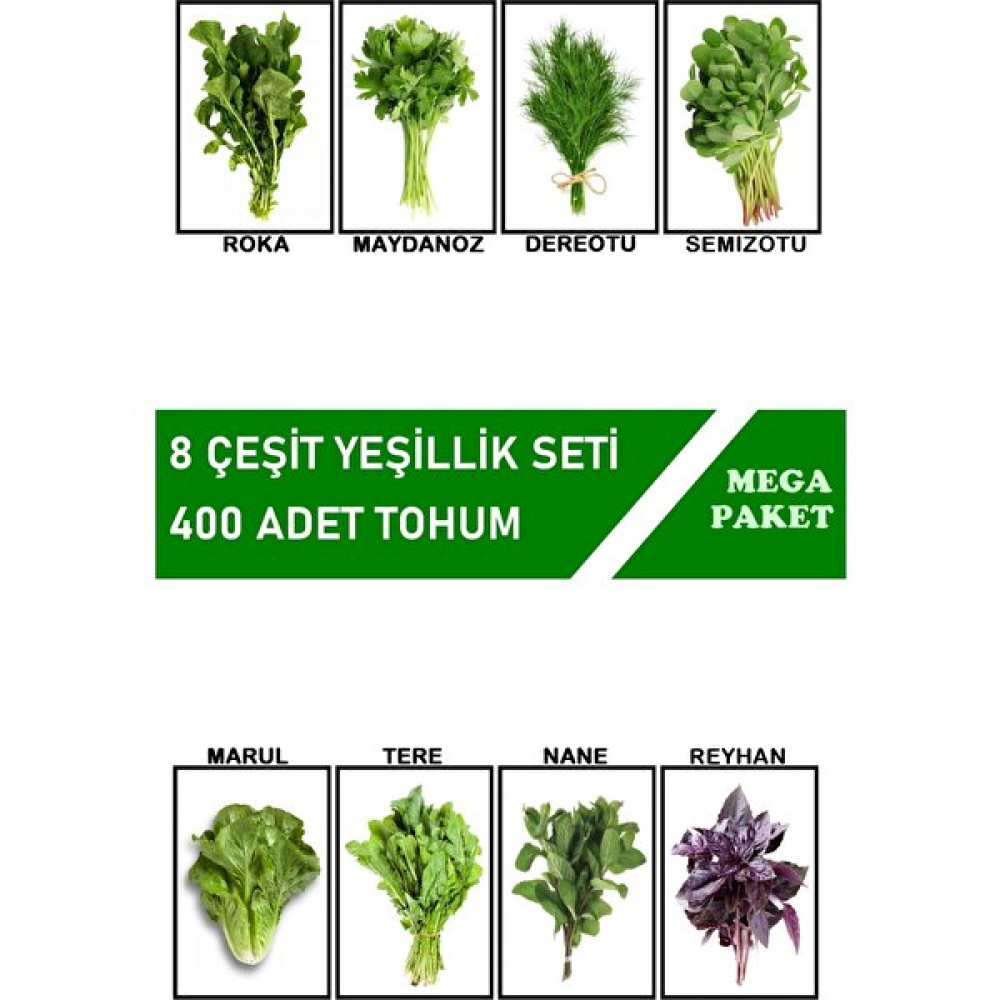 Hb Botanic Roka Maydanoz Dereotu Tere Nane Marul Semizotu Reyhan 8'li Set / 400 Adet Tohum - 1 Adet Tohum Fiyatı