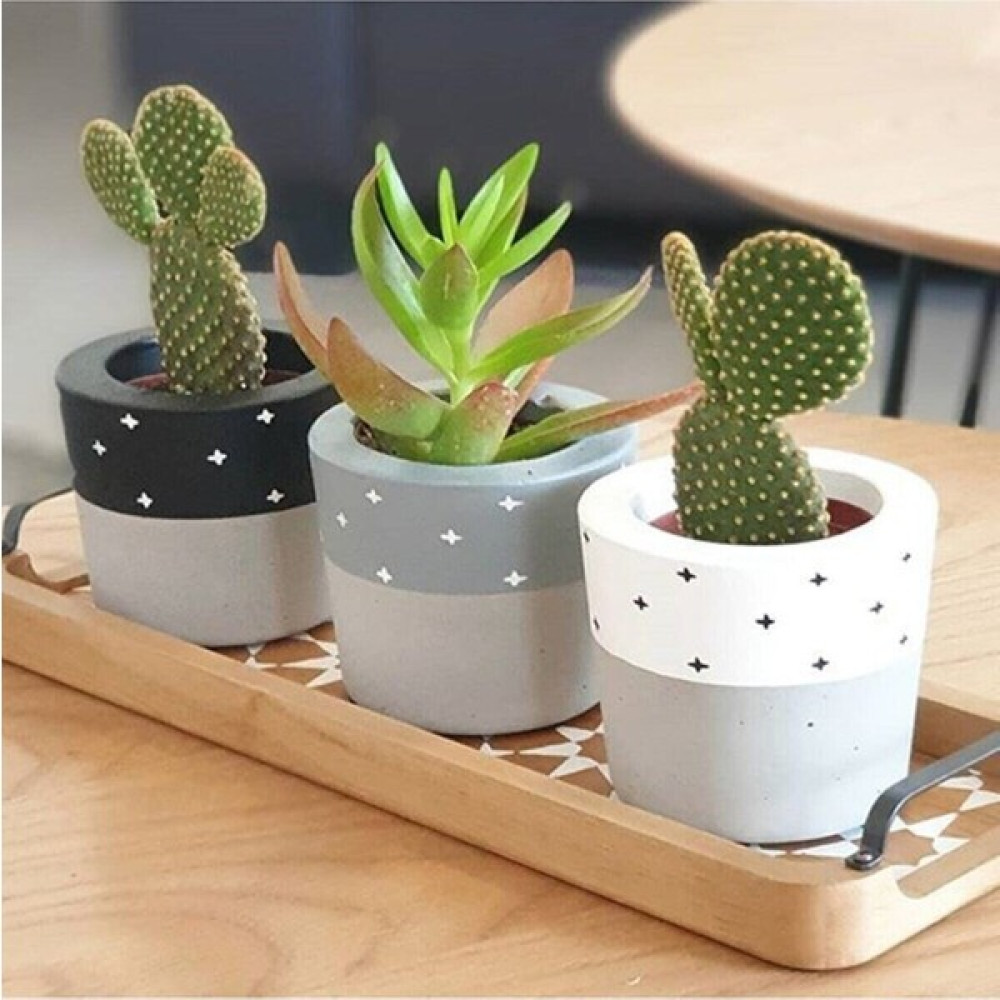 Heaven's Garden Hediyelik Beton Saksı Seti – Sukulent– Kaktüs– Dekoratif Eşya- Ev Dekerasyon - Saksı Seti Saksı ve Aksesuarları Fiyatı