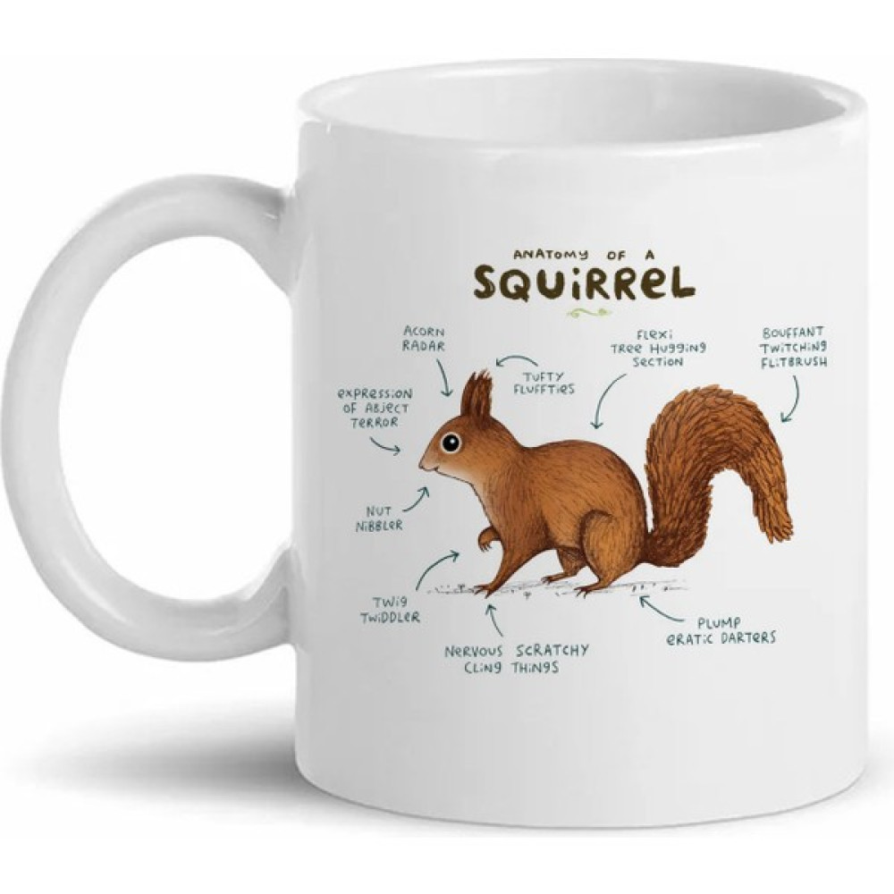 Hediye Center Sincap Anatomisi Squirrel Anatomy Kupa Bardak Fincan / Bardak / Kahve Takımı Fiyatı