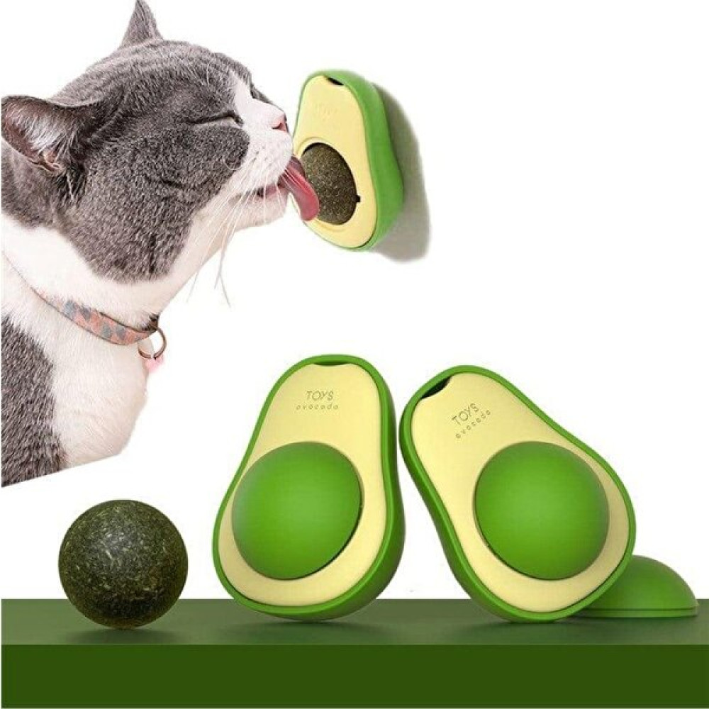 Hediye Filesi Avokado Catnip Kedi Çimi 360 Derece Dönen Kedi Nanesi Oyuncağı Evcil Hayvan Ürünleri Fiyatı