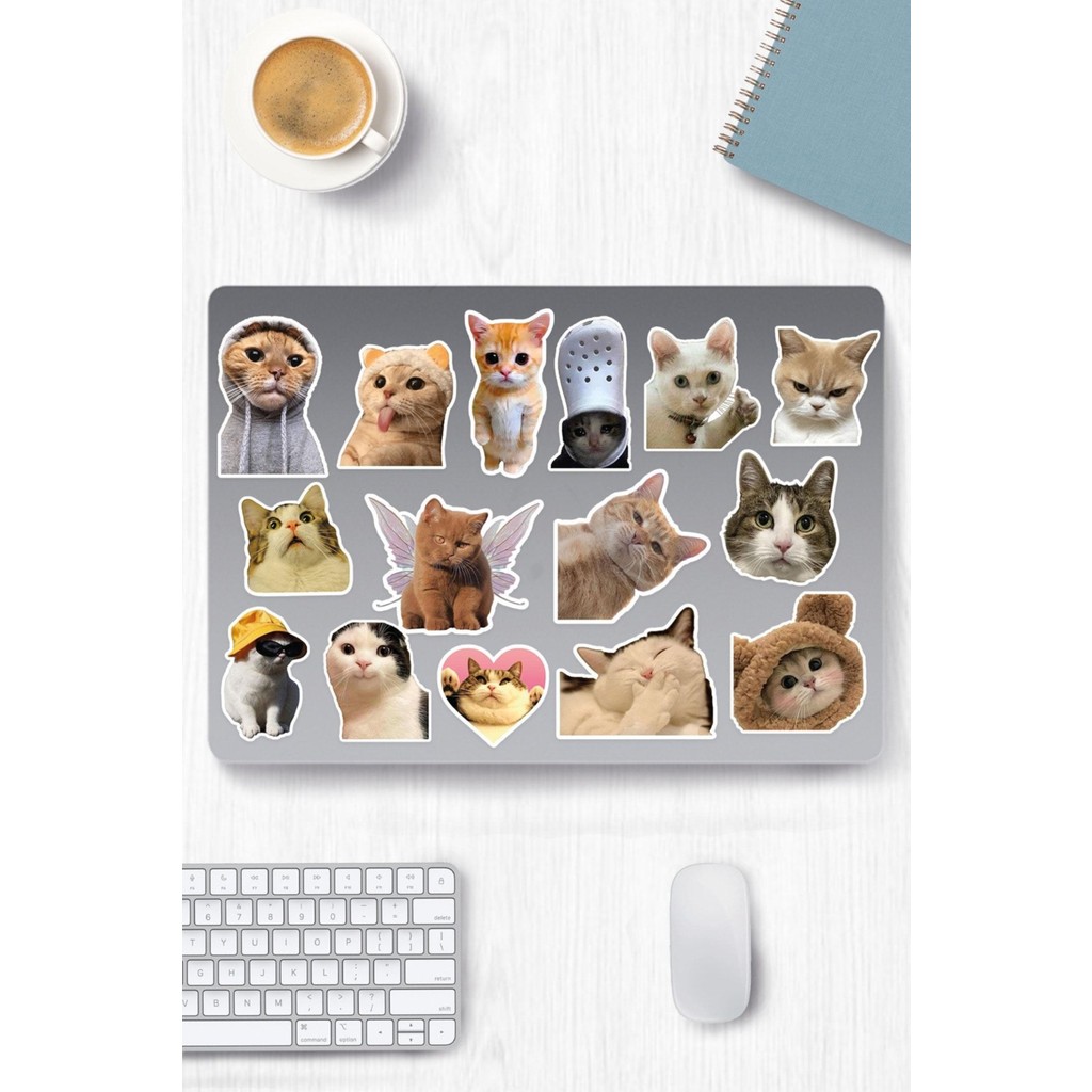 Hediyene Bak Kedi Temalı Sticker Etiket Seti - Cat Sticker - Laptop Notebook Telefon Dizüstü Bilgisayar Fiyatı