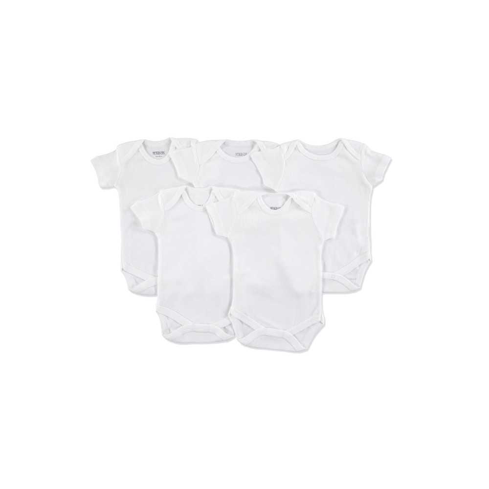HelloBaby by ebebek loBaby Bebek Basic Ribana Zarf Yaka 5li Kısa Kol Body - Beyaz 6 Ay Beden Bebek Body Fiyatı