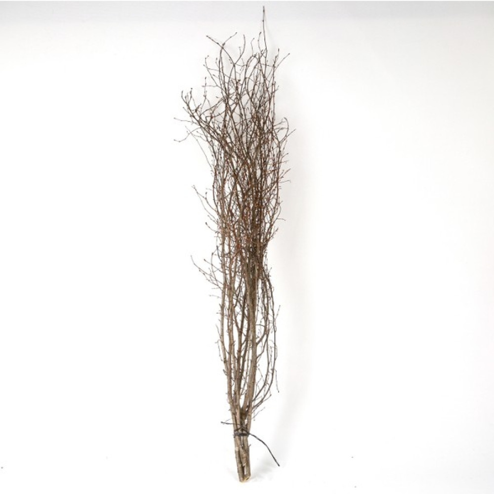 Herdekora Kuru Bitki Naturel Renk Gürgen Dalı 60 - 80 cm Ev & Dekorasyon Aksesuarları Fiyatı