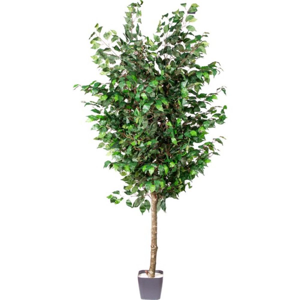 Herdekora Yapay Ficus Ağacı Tek Gövde Yeşil 200 Cm. Ev & Dekorasyon Aksesuarları Fiyatı