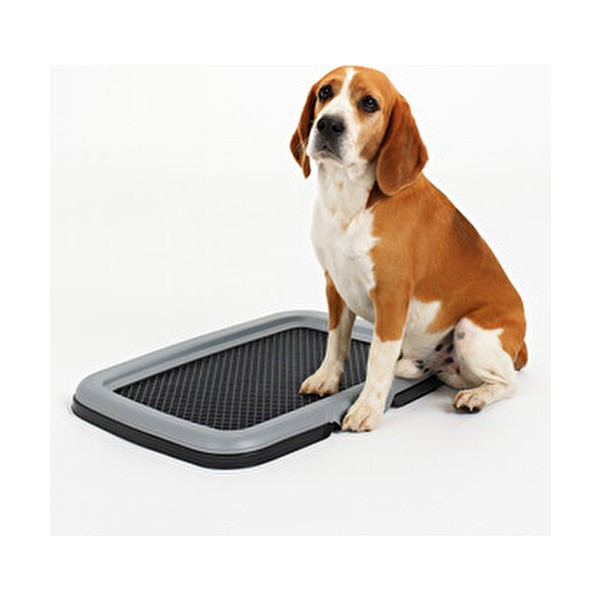 Herza House PT-310 Akıllı Kedi Köpek Wc Premium Kalite ve Kolay Kullanım Özellikleri - Beyaz Evcil Hayvan Ürünleri Fiyatı