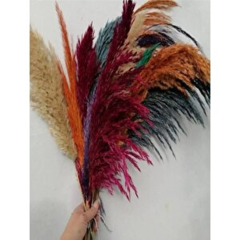Hidden Botanics Karışık Pampas 8 Adet 65 Cm Boy Hb Obje Fiyatı