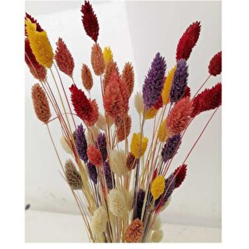 Hidden Botanics Karişikkuşoto Obje Fiyatı