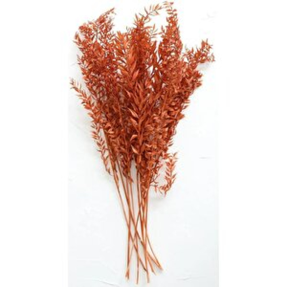 Hidden Botanics Kuru Çiçek Kurutulmuş Ruskus Turuncu Kokina Obje Fiyatı