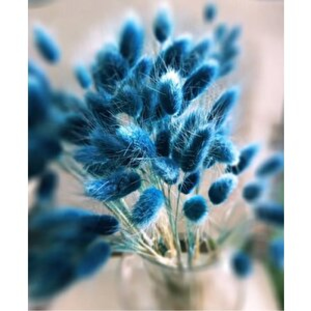 Hidden Botanics Kuru Çiçek Mavi Pamuk Otu Obje Fiyatı