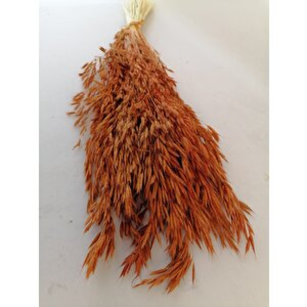 Hidden Botanics Kuru Çiçek Yulaf Otu Demeti Turuncu Obje Fiyatı
