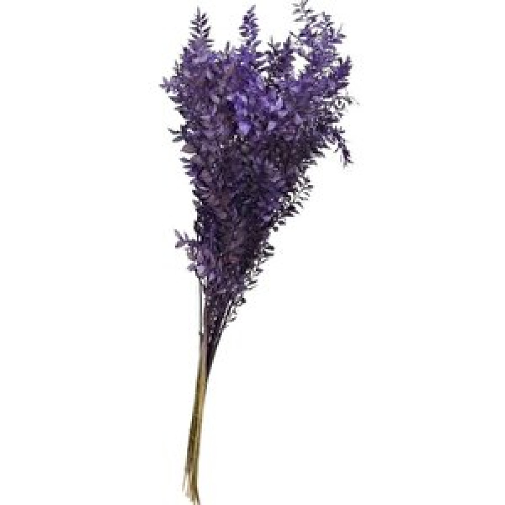 Hidden Botanics Kurutulmuş Ruskus Mor Kokina Obje Fiyatı