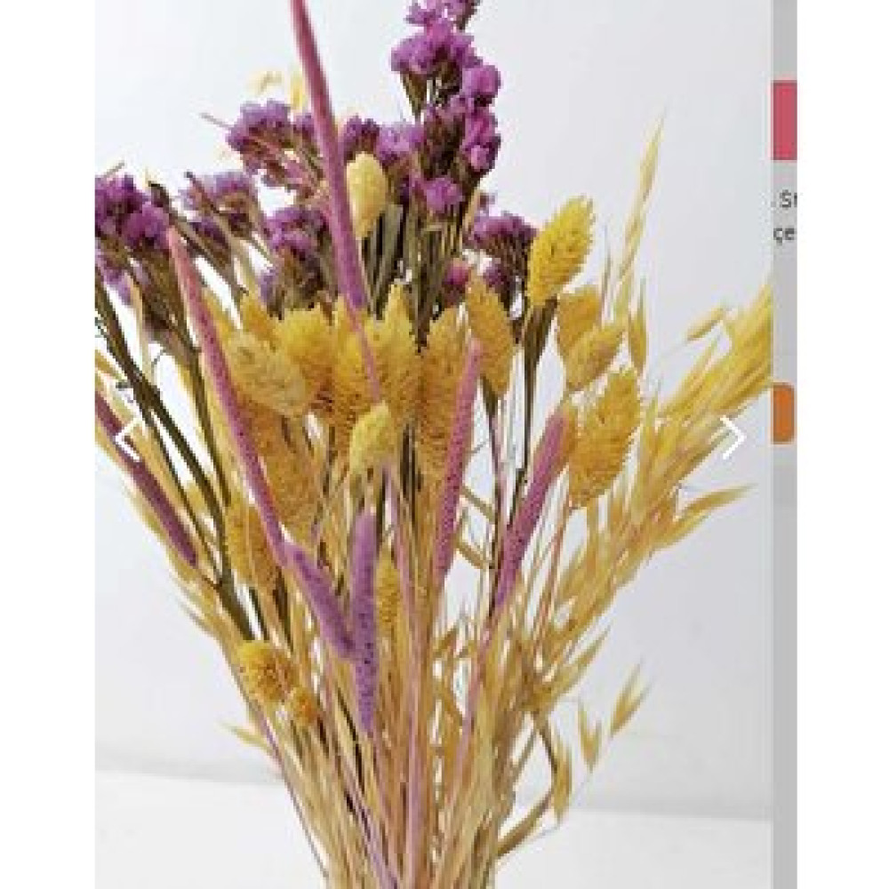 Hidden Botanics Vazo Çiçekleri Şoklanmış Statis Kurutulmuş Yulaf Palaris Kuş Otu Obje Fiyatı