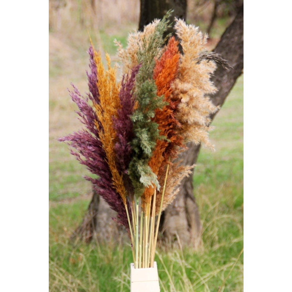 HİSARAKSESUAR Troya Kuru Çiçek Pampas 15 Adet 100 Cm Boy - Karışık Pmsy-karısık Ev & Dekorasyon Aksesuarları Fiyatı