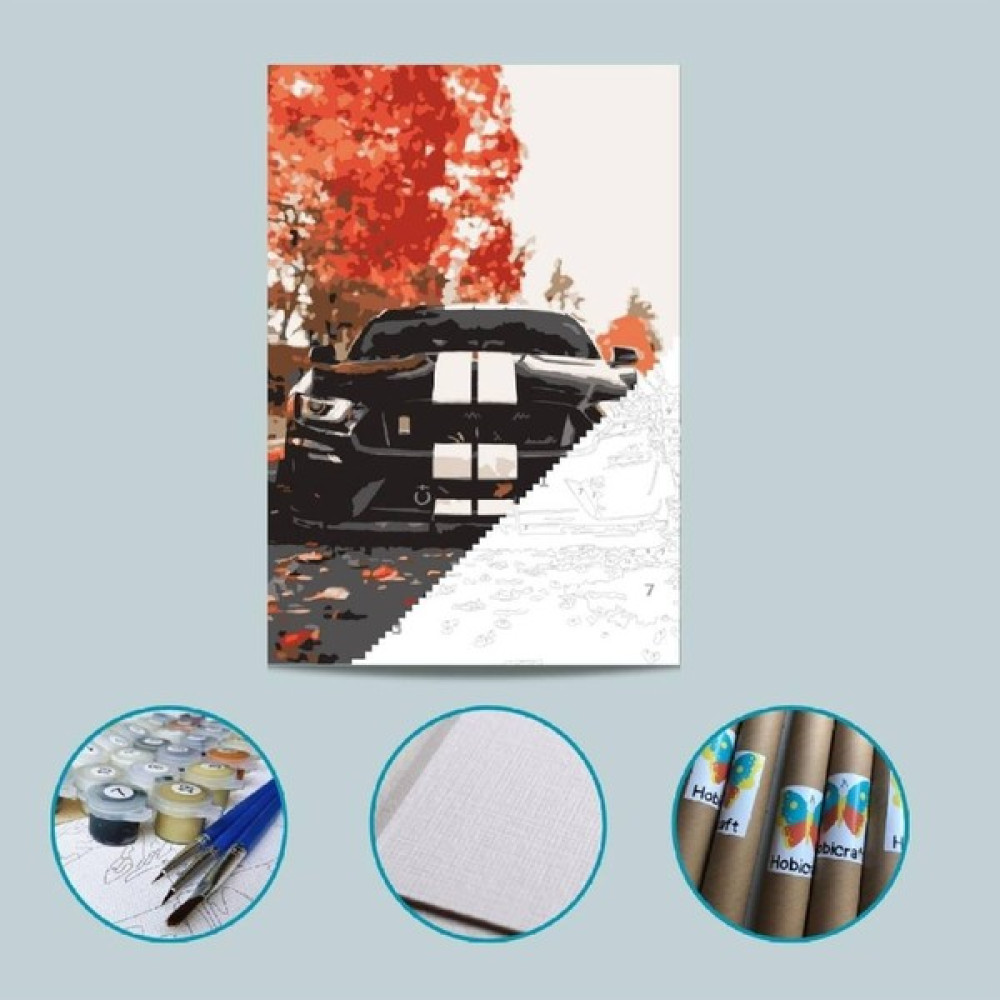 Hobi Art Market Ford Mustang Tuval Kağıdından Sayılarla Boyama Seti Boya ve Fırça Dahil Sanatsal Malzemeler Fiyatı