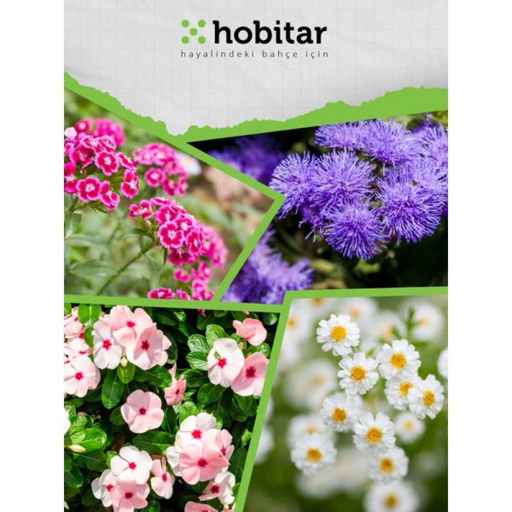 Hobitar Kır Esintisi Çiçek Tohumu Paketi - 4 Çeşit Çiçek Tohumu - 1 gr Oto Boyaları Fiyatı