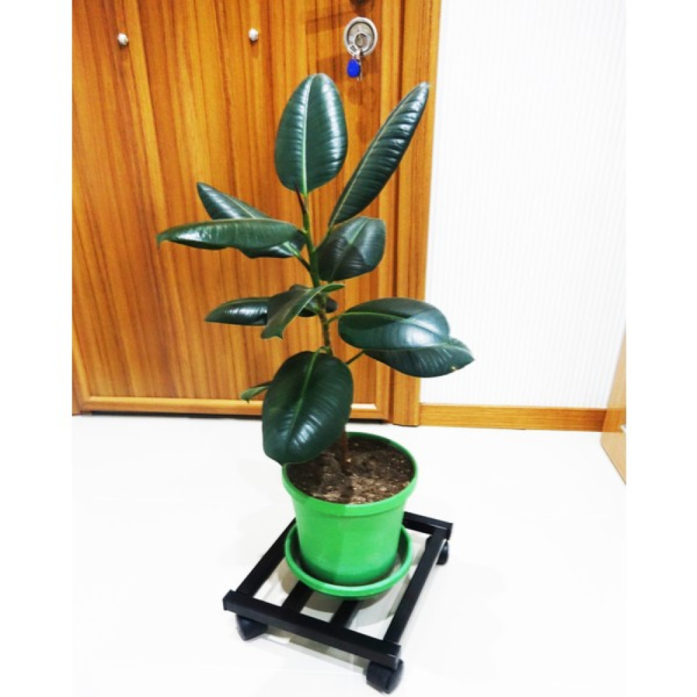 Holtech Metal Tasarım Tekerlekli Saksı Altlığı 30 cm Taşınabilir Hareketli Saksılık Damacana Altlığı - Siyah Oto Boyaları Fiyatı