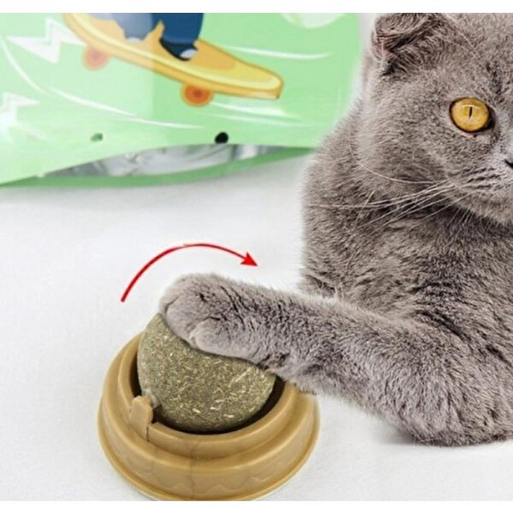 Horasan Ticaret Kedi Nanesi Cat Mint Oyun Topu Evcil Hayvan Ürünleri Fiyatı