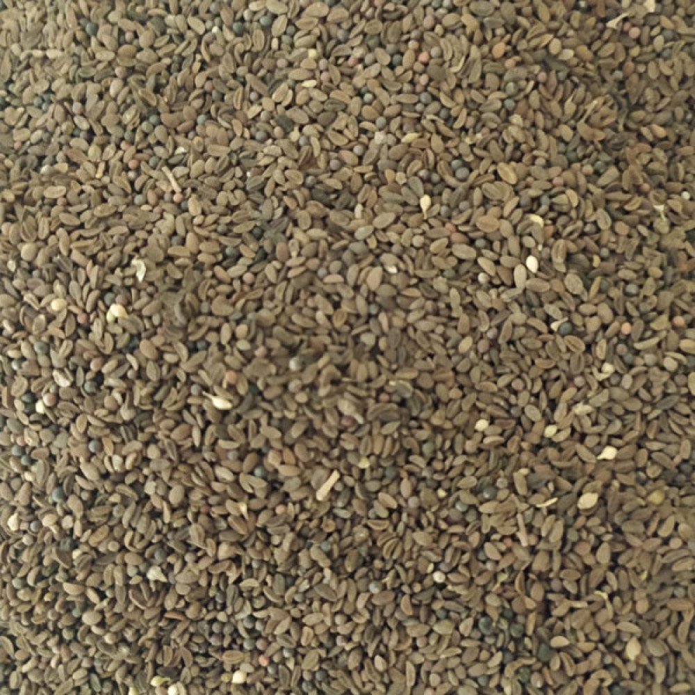 Hüdaverdi Arıcılık Arı Otu Tohumu Faselya 1kg - 1 kg Tohum Fiyatı