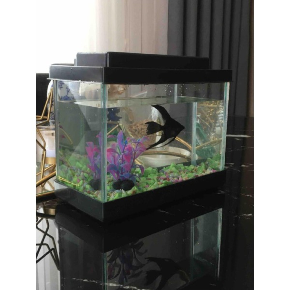 Hüma Ib Li Petshop Akvaryum Aksesuarli Siyah 20 cm 4 Litre Evcil Hayvan Ürünleri Fiyatı