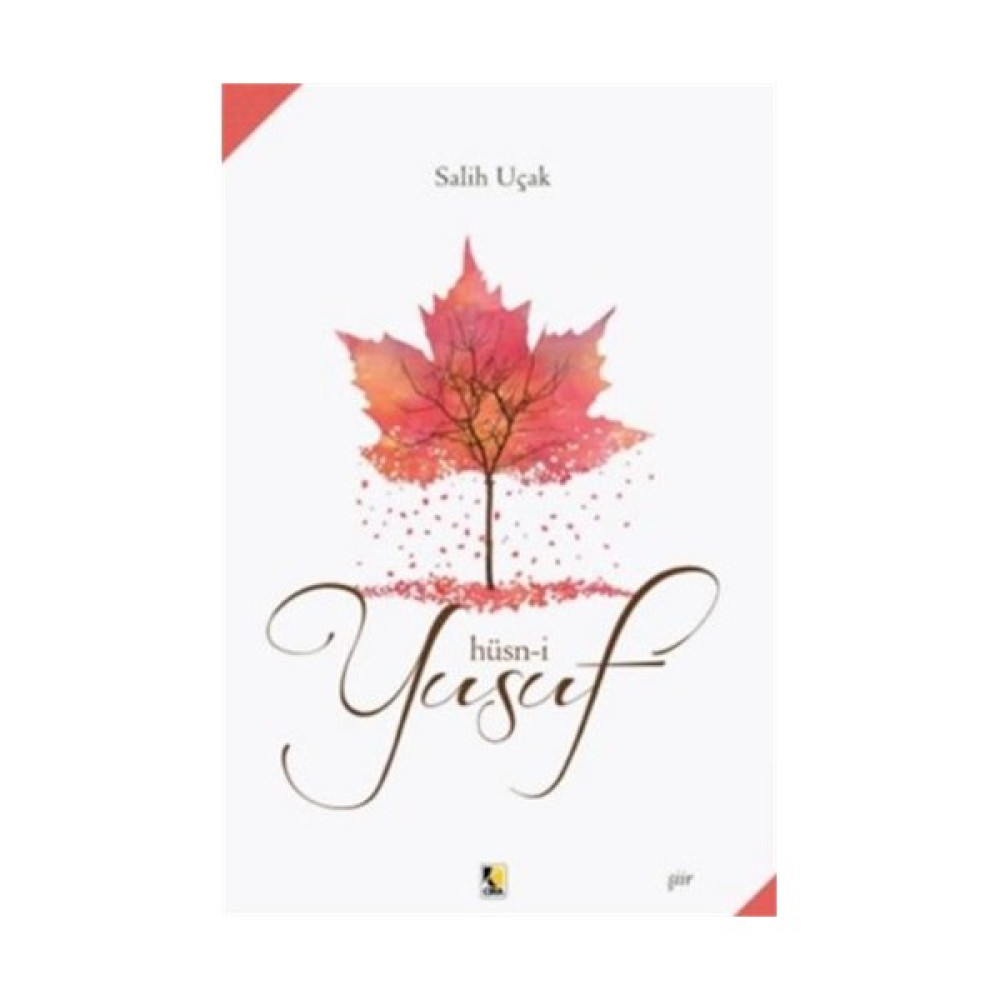 Hüsn-İ Yusuf-Salih Uçak Şiir Kitapları Fiyatı