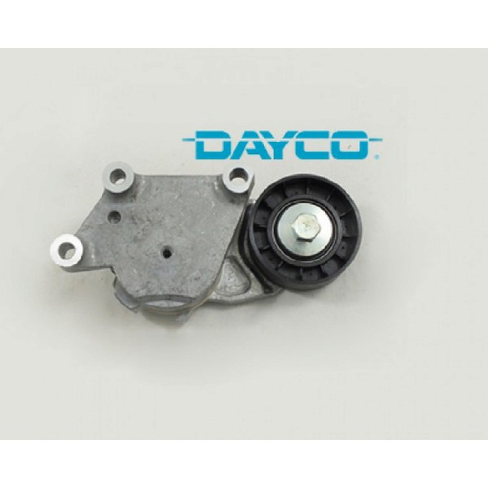 HUTCHINSON Alternatör Gergi Rulmani Kütüklü P206 1.6hdi 04 P307 1.4hdi 01-05 1.6hdi 05-09 P1007 1.4hdi 11 - Hepsi Oto Boyaları Fiyatı