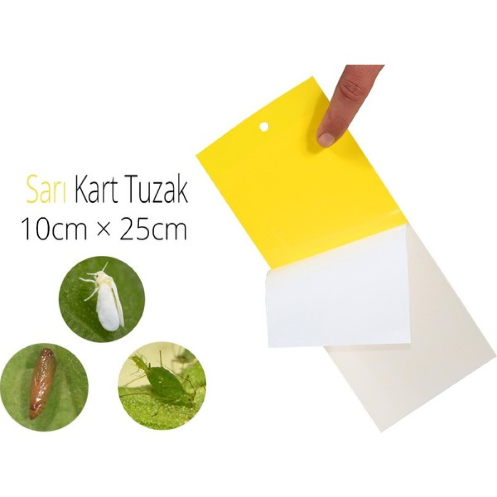 Hyperlife Sarı Yapışkan Tuzak 20 x 10 cm 10'lu Oto Boyaları Fiyatı