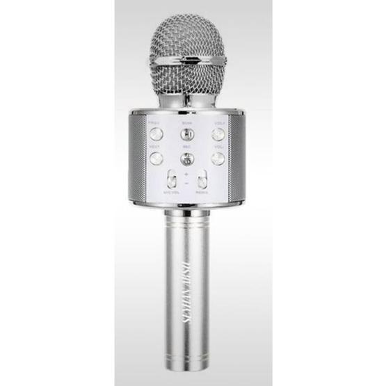 Hytech HY-XKSP35 Gri Karaoke Mikrofon