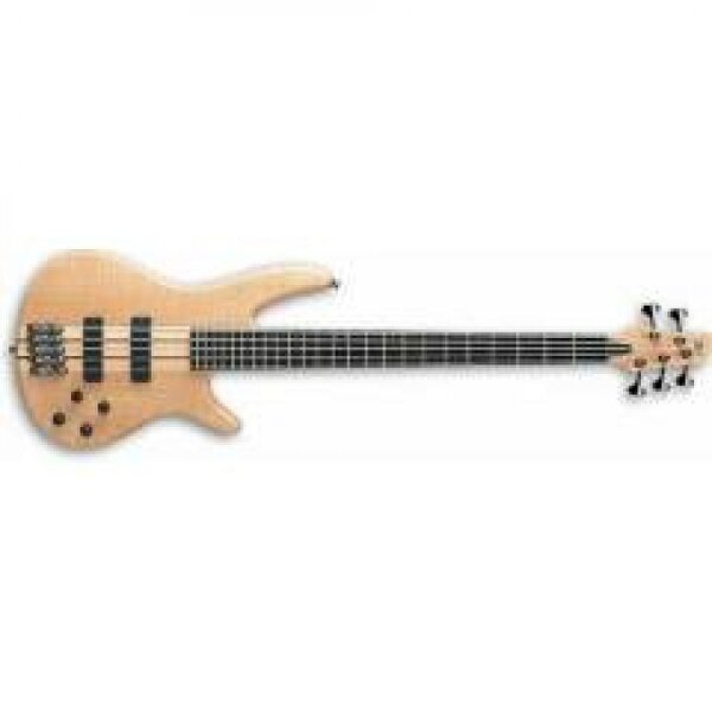 Ibanez Sr1005Efmntf Bas Gitar Bas Gitar Fiyatı