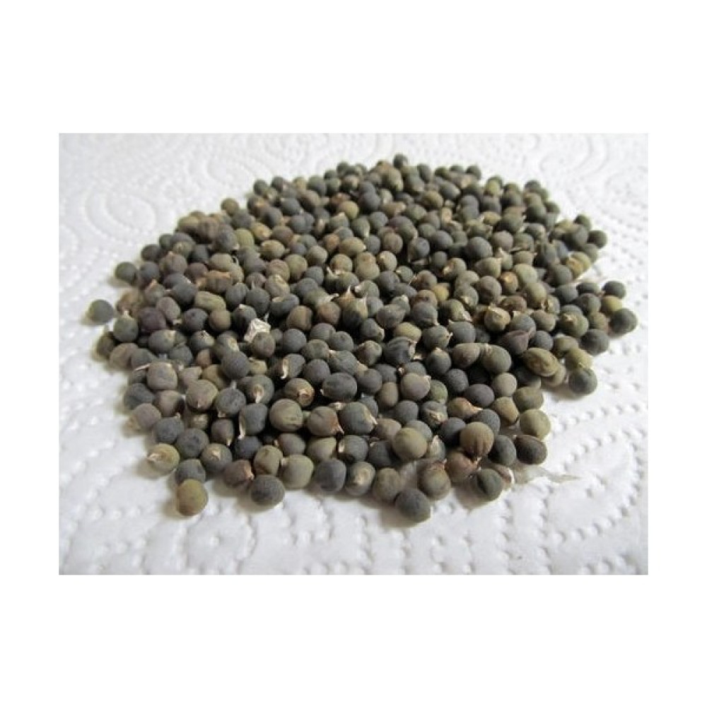 İbk İklim Bahçe Bamya Tohumu 500 gr Tohum Fiyatı