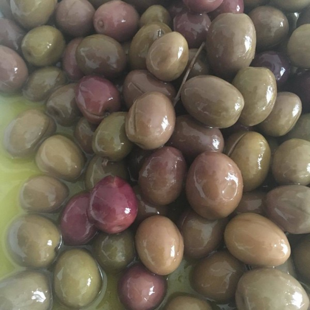 İdea Pazar Tüplü Ispanyol Manzalina Zeytin Fidanı - Yok Fidan Fiyatı