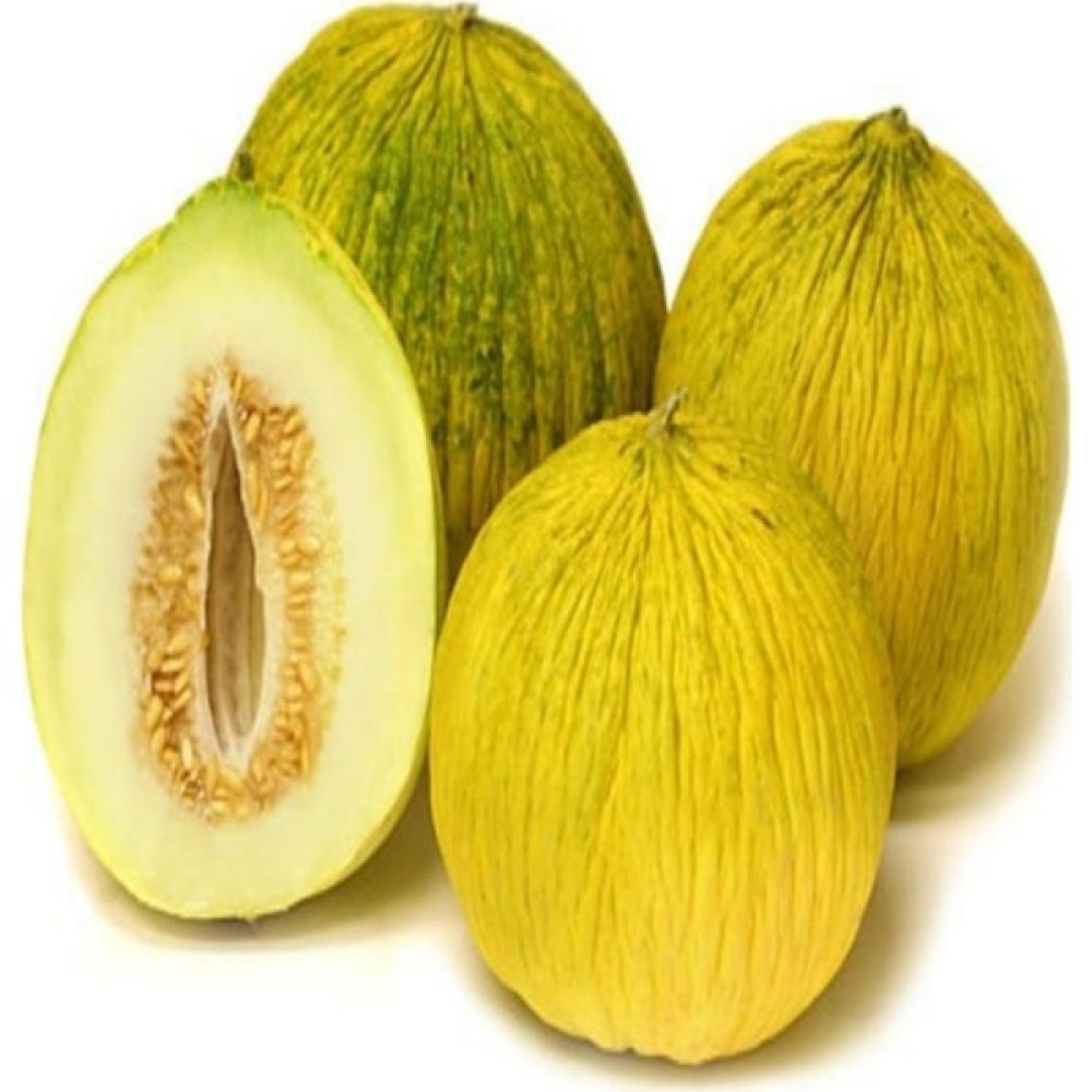 İdeasepet Naturel Beauty Casaba Kavun Tohumu (20 Tohum) Tohum Fiyatı