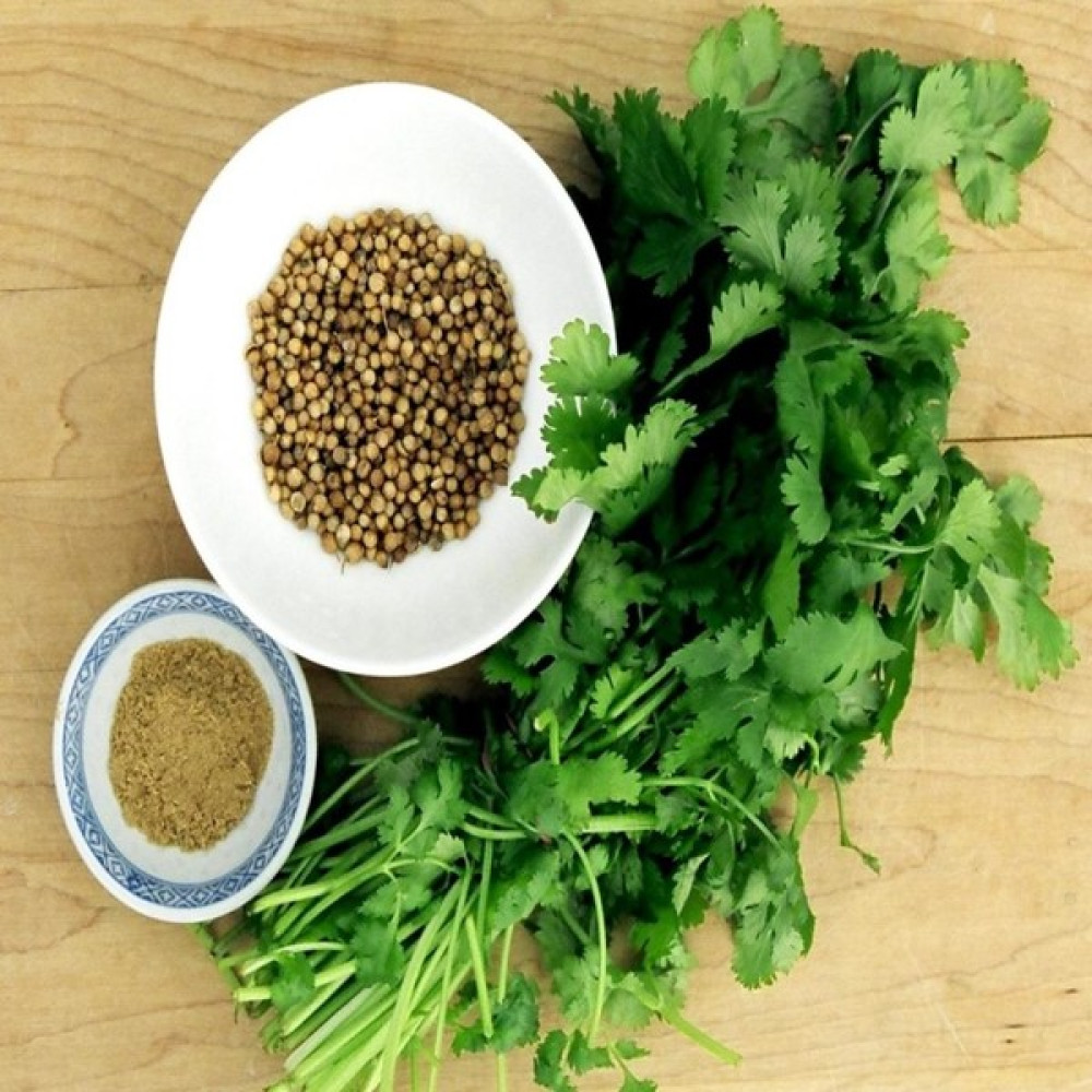 İdeasepet Naturel Kokulu Kişniş Tohumu (55 Tohum) Tohum Fiyatı