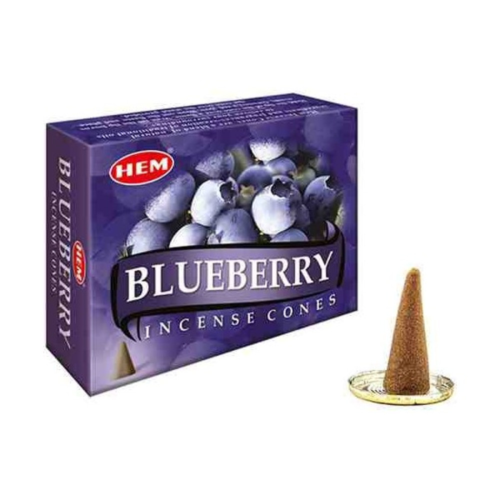 İkizler Blueberry 2 Paket Konik Tütsü Oto Boyaları Fiyatı