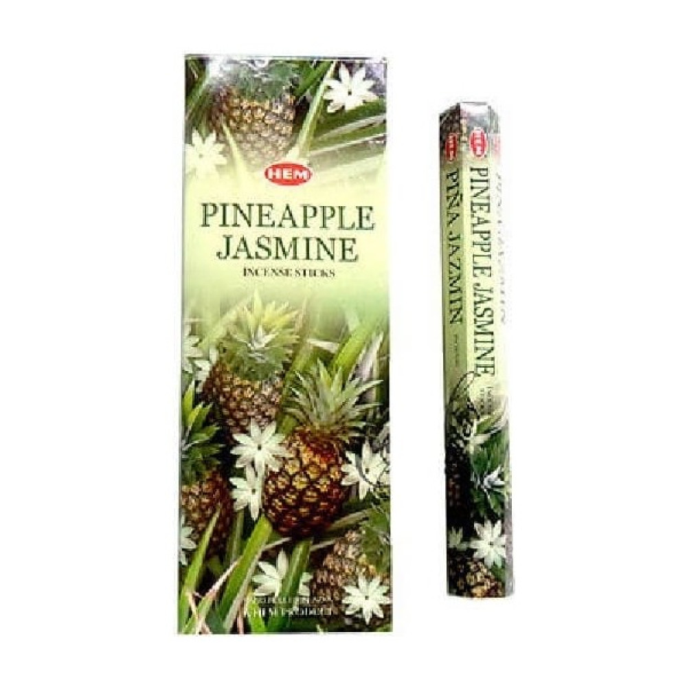 İkizler Hem Pineapple Jasmine 2 Paket 40 Adet Tütsü Oto Boyaları Fiyatı