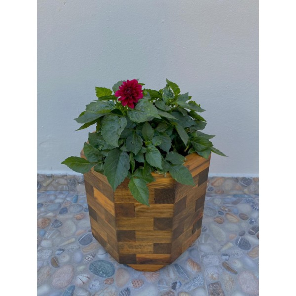 İnci Ahşap Saksı 30x30x30 Oto Boyaları Fiyatı
