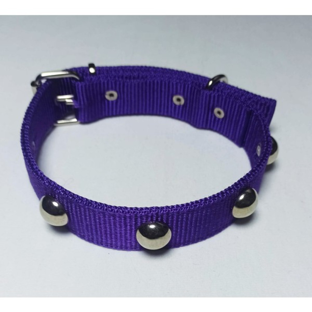 Incitop Köpek Tasması 60X3 cm - Mor Evcil Hayvan Ürünleri Fiyatı