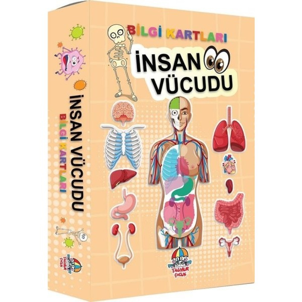 İnsan Vücudu - Bilgi Kartları Zihinsel Gelişim Kitapları Fiyatı